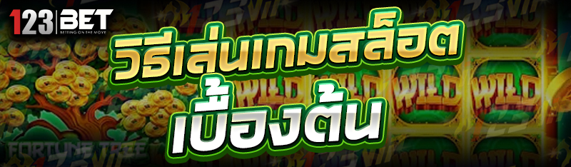 วิธีเล่นเกมสล็อต เบื้องต้น
