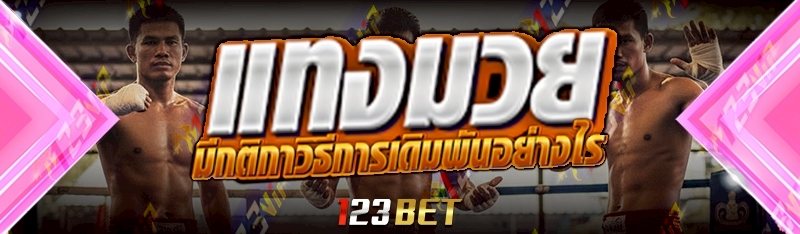 แทงมวยออนไลน์ มีกติกาวิธีการเดิมพัน อย่างไร