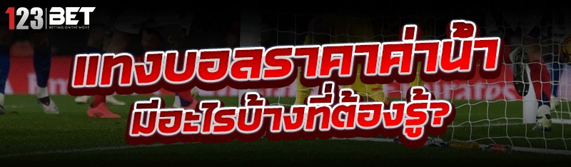 แทงบอลราคาค่าน้ำ